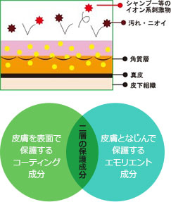 成分と仕組み